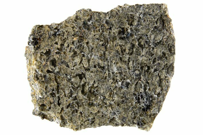 Martian Shergottite Meteorite ( g) Slice - NWA #335323